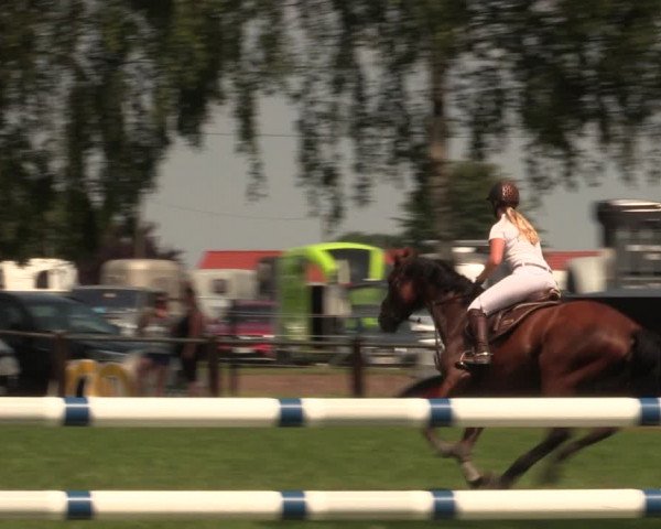 Reitturnier Hille 2018