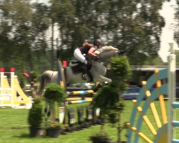 Reitturnier Hille 2018