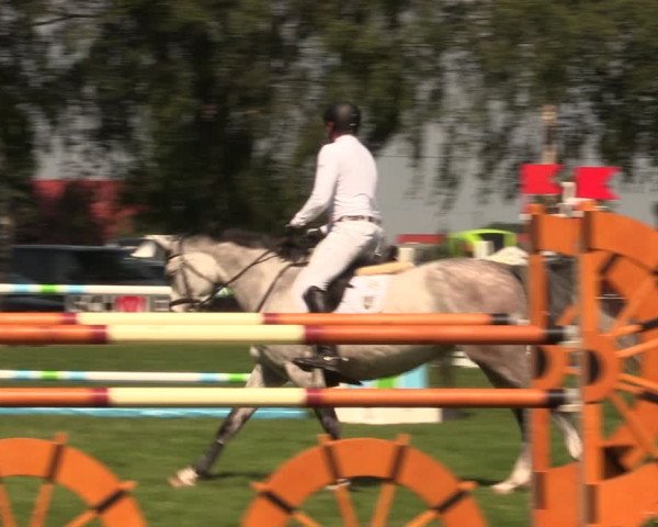 Reitturnier Hille 2018