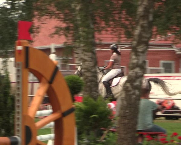 Reitturnier Hille 2018