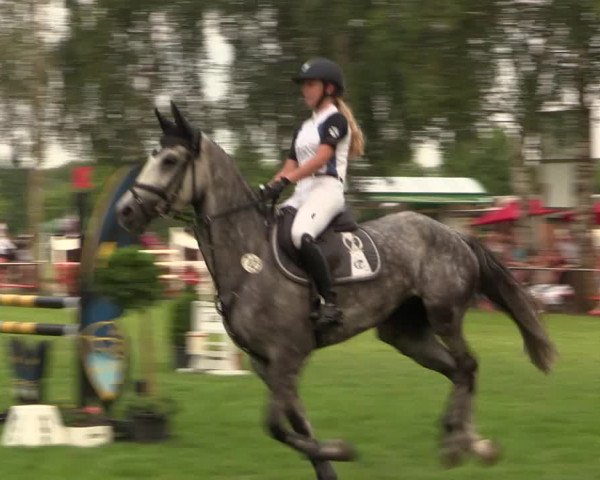 Reitturnier Hille 2018
