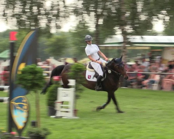 Reitturnier Hille 2018