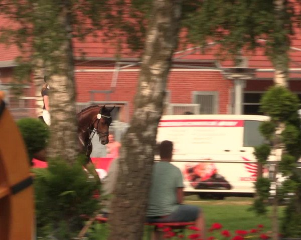 Reitturnier Hille 2018