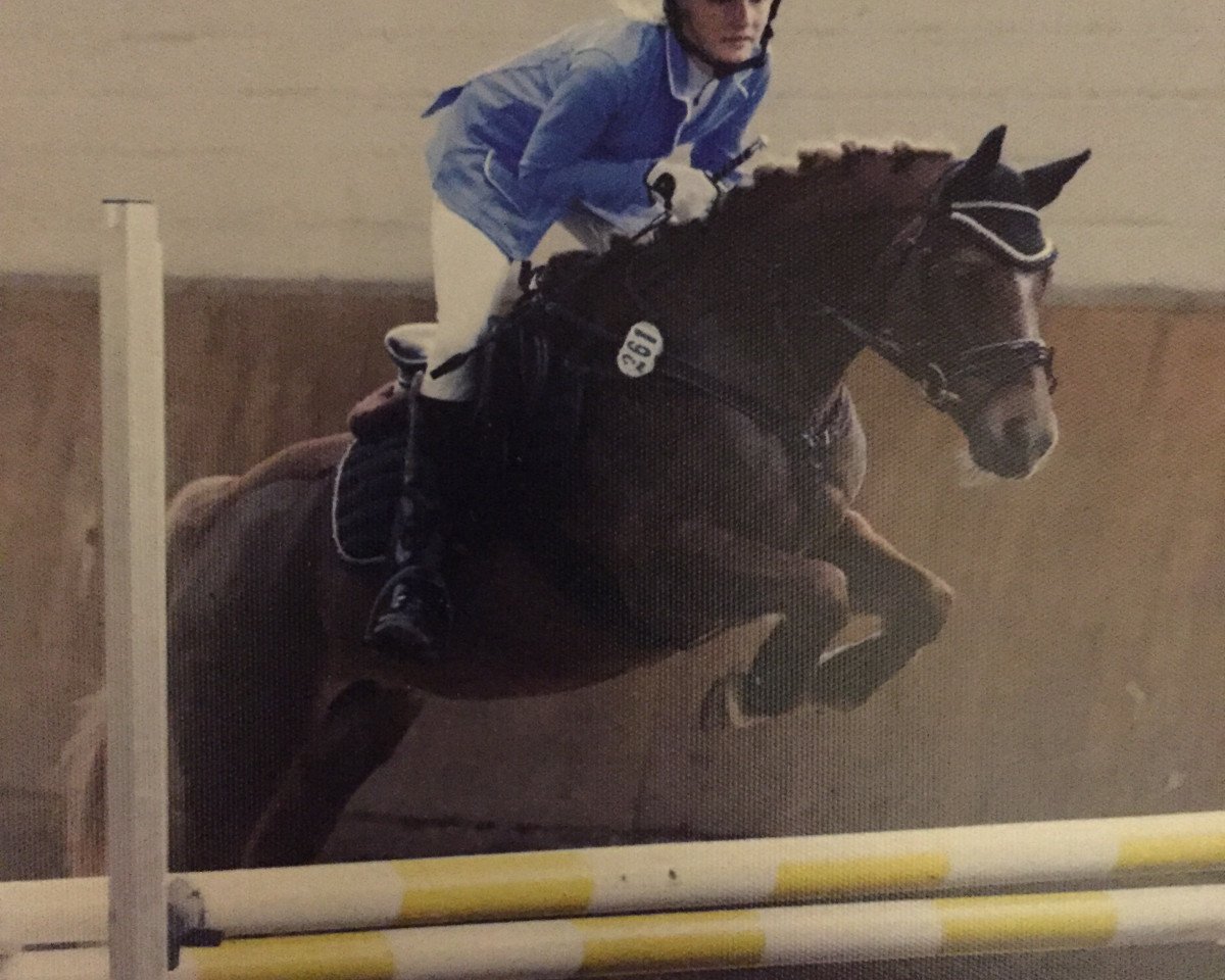 jumper Poppy Splash (Nederlands Appaloosa Pony, 2005, from Linde Hoeve's Pavarotti)
