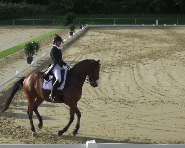 Reitturnier Ladenburg 2018