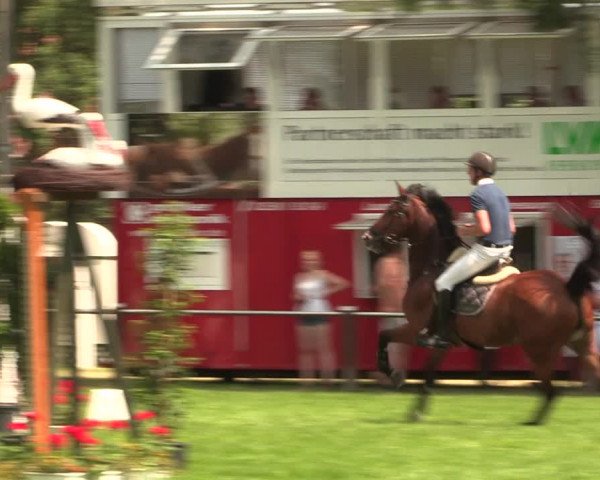 Reitturnier Hille 2018