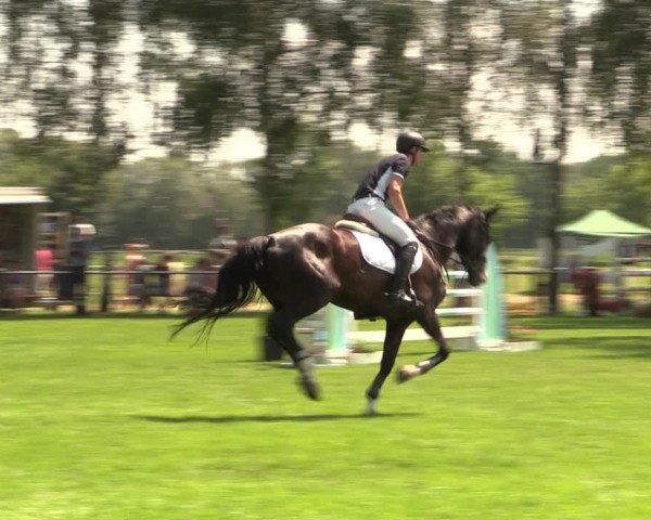 Reitturnier Hille 2018
