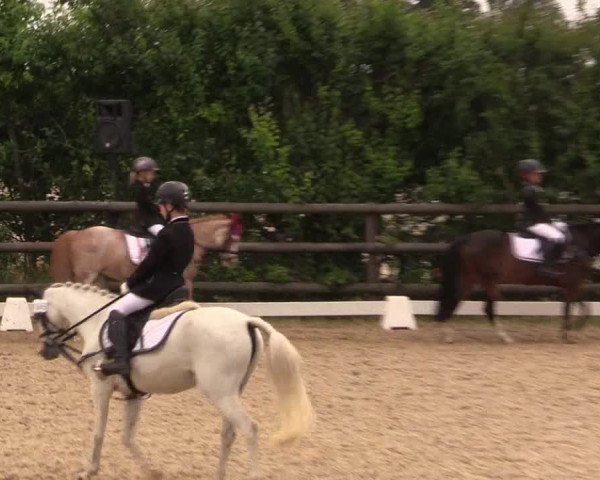 Reitturnier Schillerslage 2018