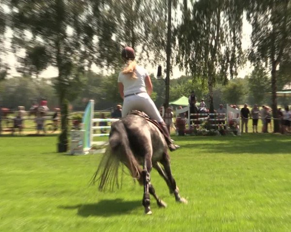 Reitturnier Hille 2018