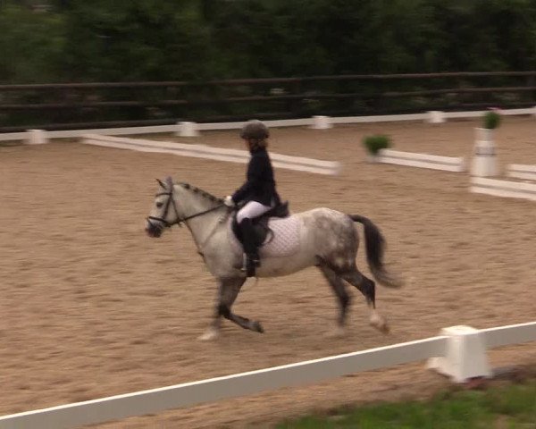 Reitturnier Schillerslage 2018