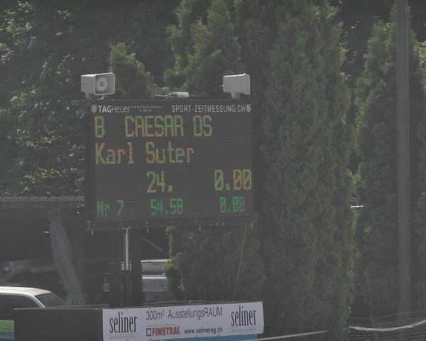 Reitturnier Winkel 2018