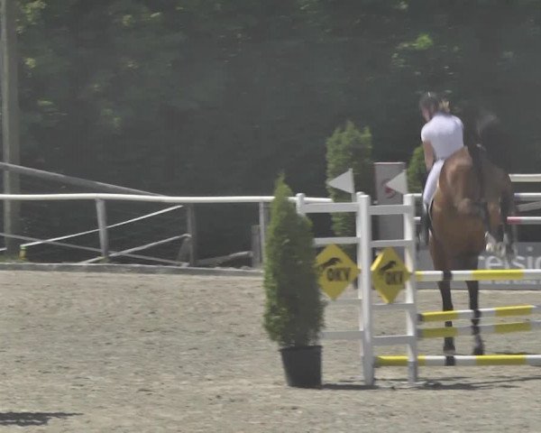 Reitturnier Winkel 2018