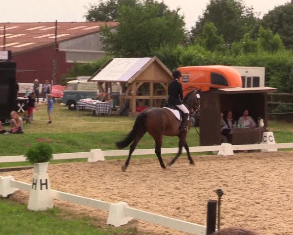 Reitturnier Schillerslage 2018