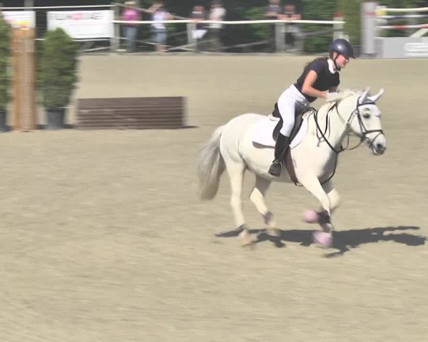 Reitturnier Winkel 2018