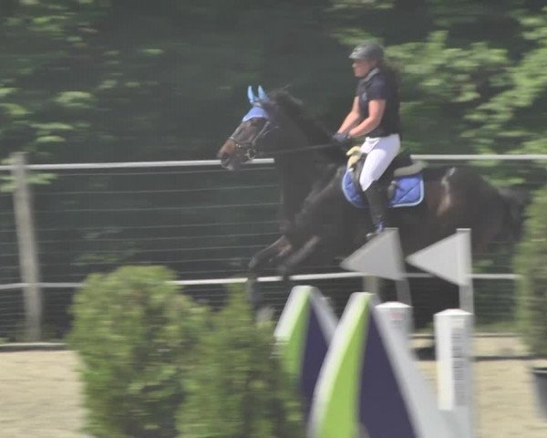 Reitturnier Winkel 2018