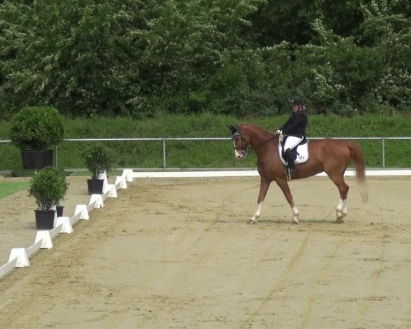 Reitturnier Ladenburg 2018