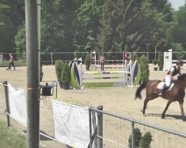 Reitturnier Winkel 2018