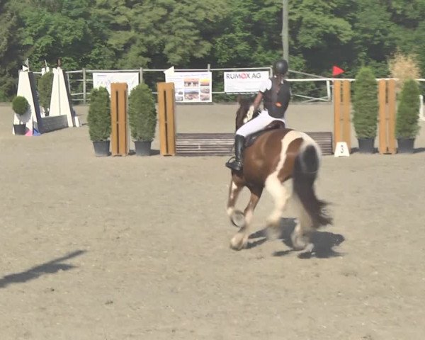 Reitturnier Winkel 2018