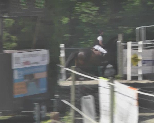 Reitturnier Winkel 2018