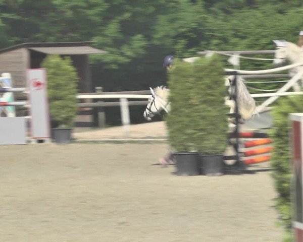 Reitturnier Winkel 2018