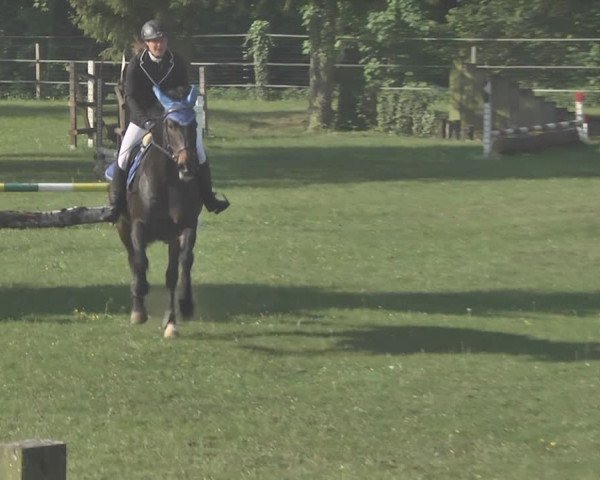 Reitturnier Winkel 2018