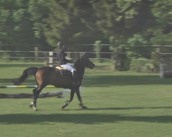 Reitturnier Winkel 2018