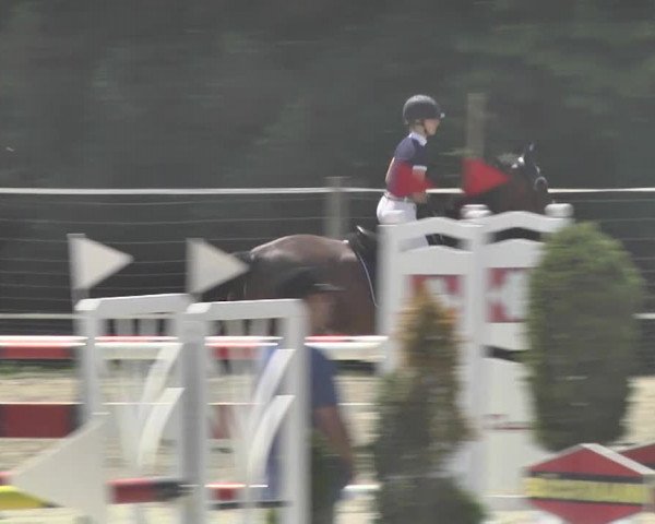 Reitturnier Winkel 2018