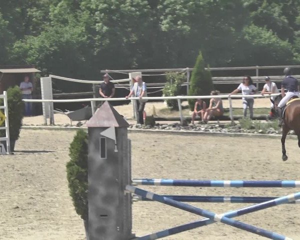 Reitturnier Winkel 2018