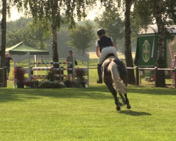 Reitturnier Hille 2018