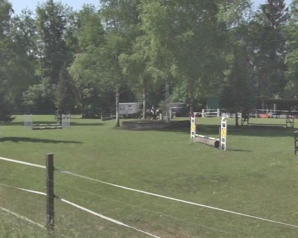Reitturnier Winkel 2018