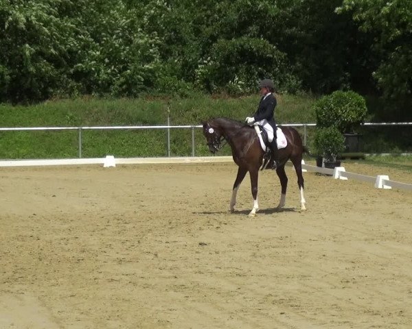 Reitturnier Ladenburg 2018