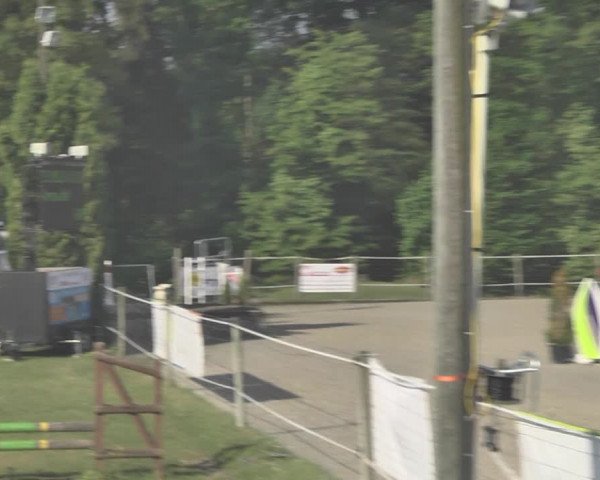 Reitturnier Winkel 2018