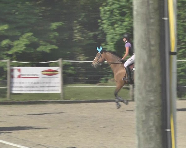 Reitturnier Winkel 2018