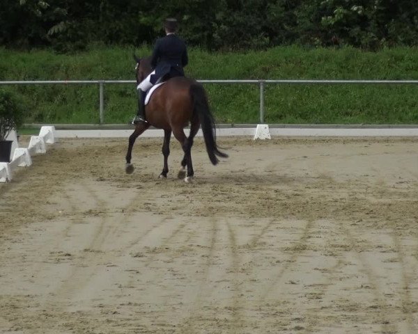 Reitturnier Ladenburg 2018