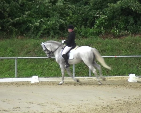 Reitturnier Ladenburg 2018