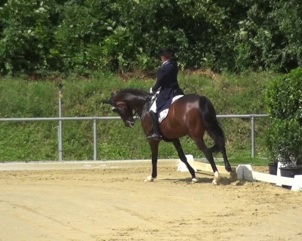 Reitturnier Ladenburg 2018