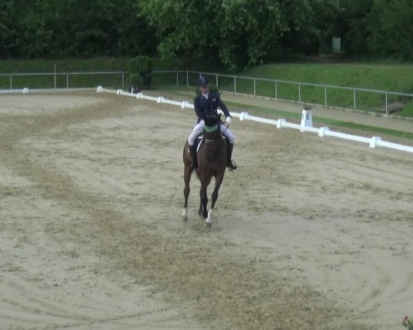 Reitturnier Ladenburg 2018