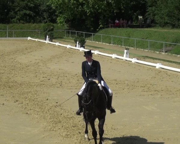 Reitturnier Ladenburg 2018