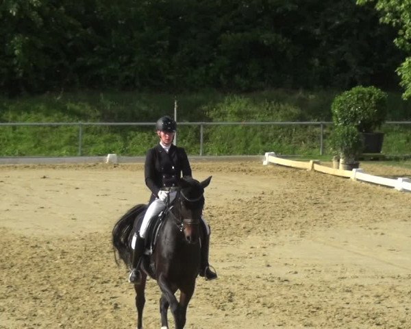 Reitturnier Ladenburg 2018