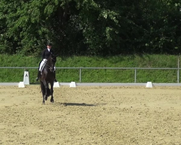Reitturnier Ladenburg 2018