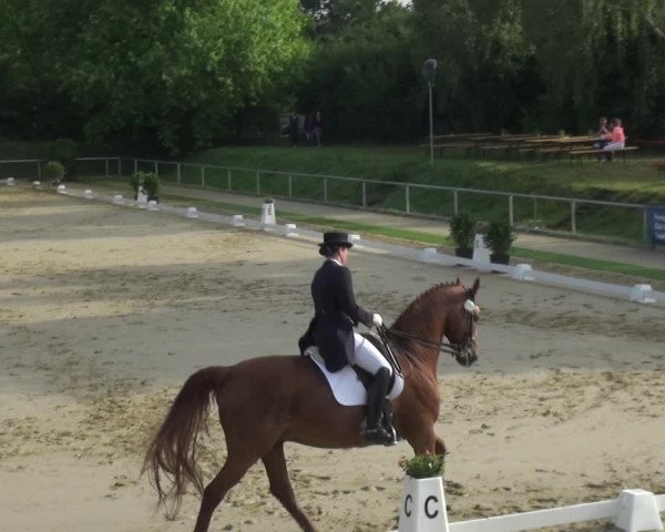 Reitturnier Ladenburg 2018