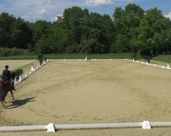 Reitturnier Ladenburg 2018