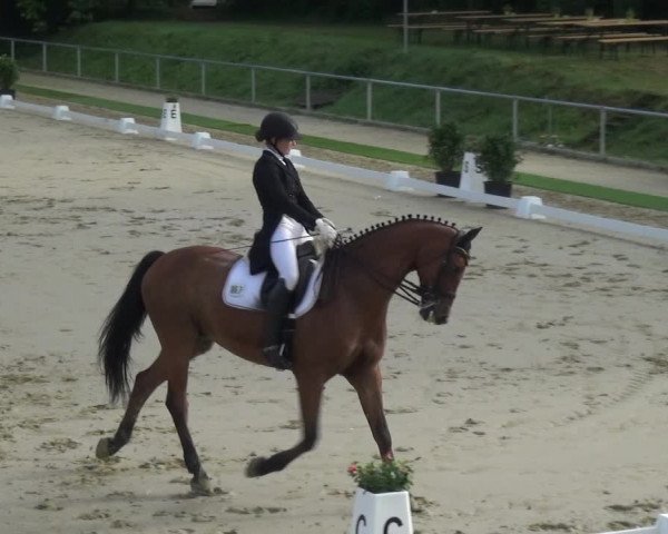 Reitturnier Ladenburg 2018