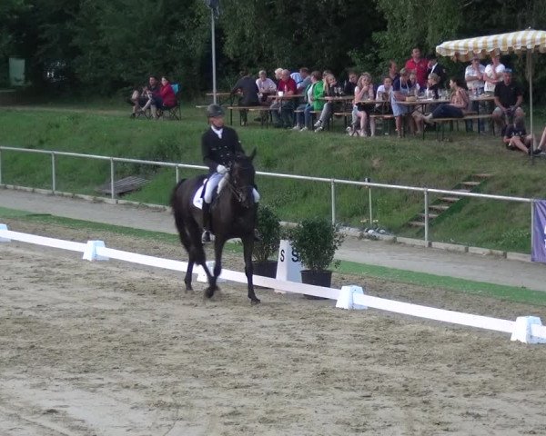 Reitturnier Ladenburg 2018