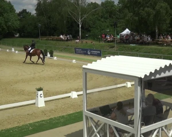 Reitturnier Ladenburg 2018