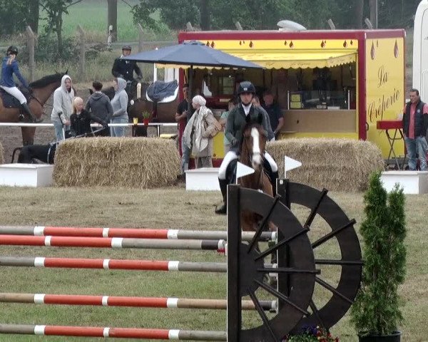 Reitturnier Schwanebeck 2018