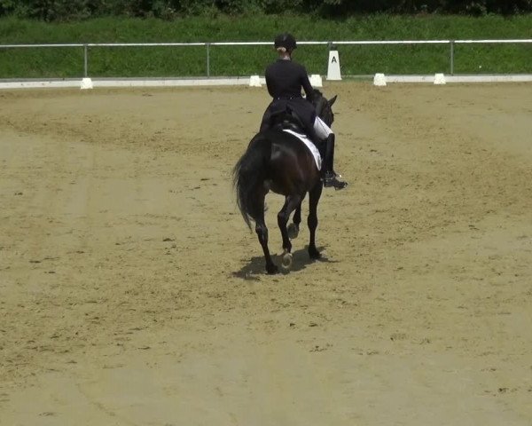 Reitturnier Ladenburg 2018