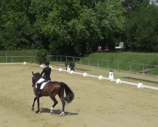 Reitturnier Ladenburg 2018