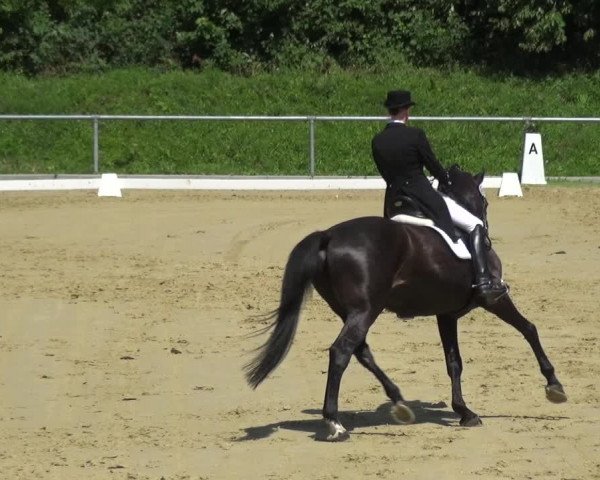 Reitturnier Ladenburg 2018