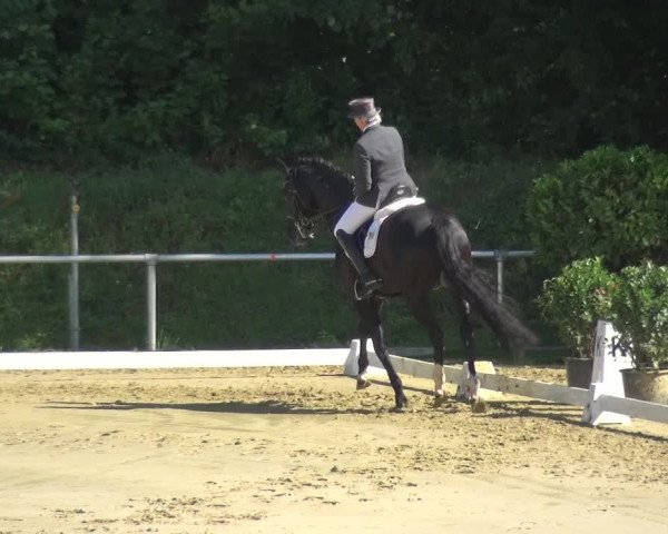 Reitturnier Ladenburg 2018